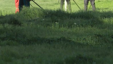 Helpbook: Занемарени зелени площи в "Красна поляна", рядко се косят