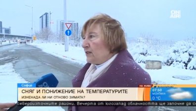 От Столичния инспекторат: 166 снегорина ефективно са работили през нощта