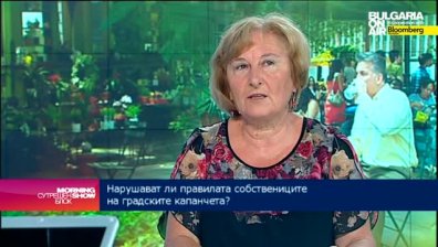 Инж. Георгиева: Уличната търговия създава проблеми във всички градове