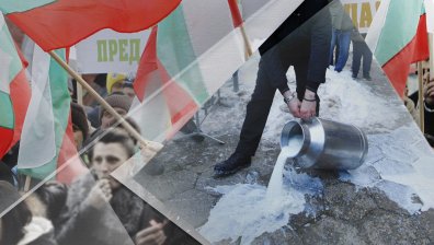 Фермери от Източните Родопи на протест заради ниските изкупни цени на млякото