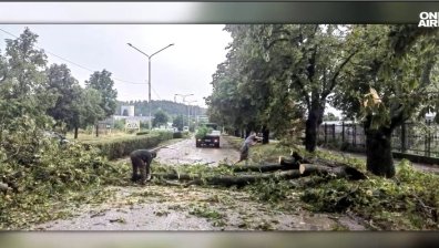 Паднали дървета, улици като реки, накъсани жици - равносметката след вчерашната буря