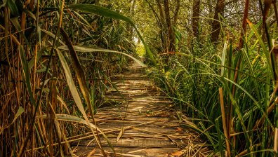 ЕК с наказателна процедура срещу България заради "Натура 2000"