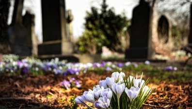 Свършиха свободните гробни места в Кюстендил