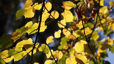 Времето в четвъртък: Кратки превалявания и температури до 23 градуса 