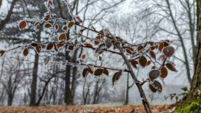 Времето днес: Студено, облачно и мъгливо