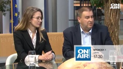 Урсула фон дер Лайен -повече френски, отколкото немски проект