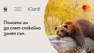 "Завръщането" - но с главен герой Мечката