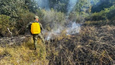 Разгарят се нови огнища в периметъра на големия пожар в Сакар планина