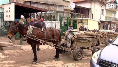 Ромски набези: Съставиха над 15 акта за незаконна сеч в Странджа