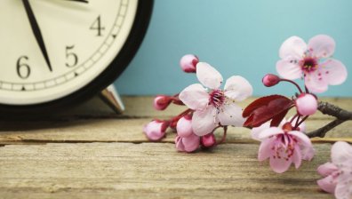 Икономика на събуждането