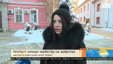 Елин Пелин на протест: Тровят се бездомни и домашни кучета