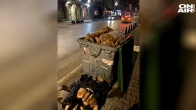 Контейнер за боклук в центъра на София прелива от изхвърлен хляб