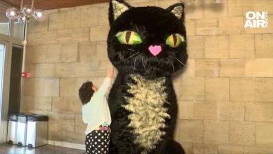 В столицата на хумора Габрово кръстиха известното коте без опашка