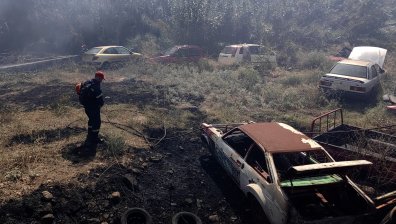 Огънят разкъса Родос на две, убивайки животни и разрушавайки домове на острова