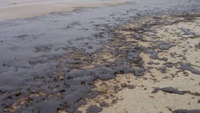 150 хил. лв. глоба: Издирват кораба виновник за мазута във Варна