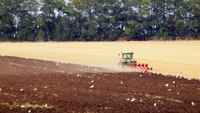 6 пъти е поскъпнала земеделска земя в България, декар стига 2 787 лв.