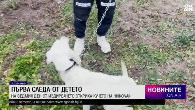 Късна емисия