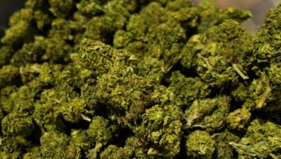 Прокуратурата поиска имунитета на кандидат-депутата, хванат с марихуана