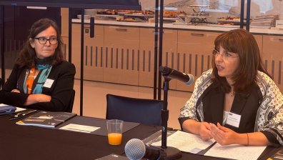 Ефремова в Ню Йорк: България извървя дълъг път на реформа в грижите за децата