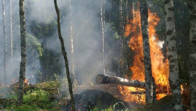 Голям пожар гори до къщи в Карнобат