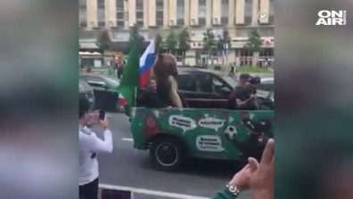 Светът е футбол - дори сред животните!