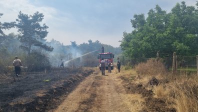 Борба с огъня: Над 100 дка е обхванал пожарът край Шишманово