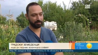 Столични земеделци: Софиянци сами си отглеждат зеленчуците