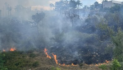 Пламна борова гора до Дом в Стара Загора (СНИМКИ)