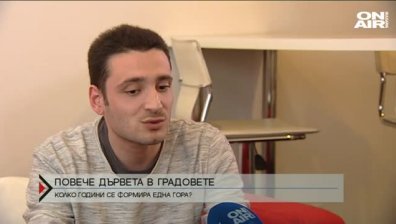 Част от свлачищата могат да бъдат овладявани чрез дървета