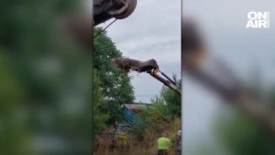 Необичайно: Двойка щъркели гнездят върху стрелка на багер