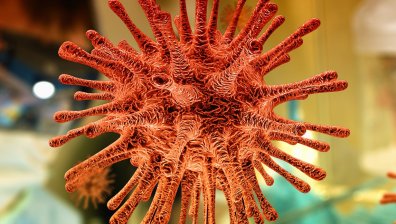 Нов вариант на коронавируса е открит в Южна Африка и в редица други страни