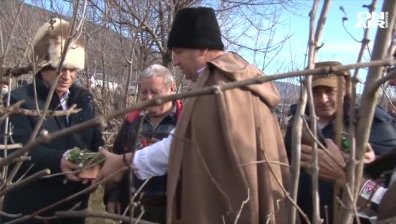 Министърът на земеделието отчете ръст на лозовите масиви в България