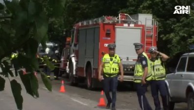 Инцидент на пътя: Кола се удари в дърво на пътя Русе-Силистра, има загинали