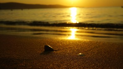 Времето е все по-горещо: Термометрите достигат психологическата граница от 40 градуса