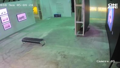 Крадец задигна картина на Банкси от негова изложба в Торонто