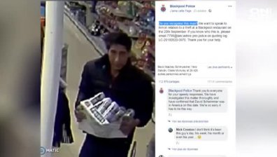 Двойник на Рос от "Приятели" превърна Дейвид Шуимър в крадец