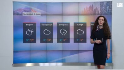 Централна прогноза