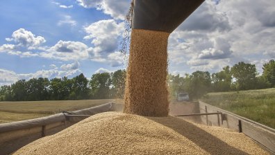 Русия с рекорден износ на пшеница, топ 2 клиент е съседна на България страна