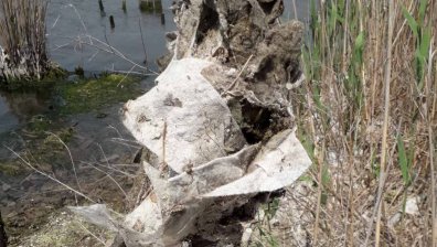 Отходни канали бълват боклуци във Варненското езеро