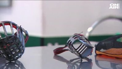 #Безнамордник: Вълна от недоволство сред стопаните на кучета след промените в закона