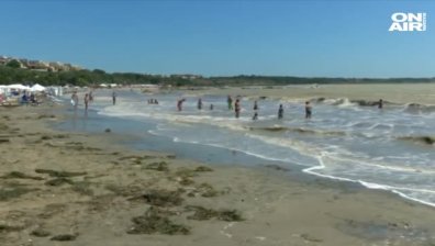 Заринатият с водорасли плаж в "Сарафово" възмути туристи