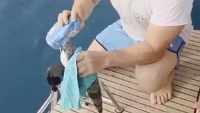 "Като перфоратор е": Българи уловиха "риба заек" в Гърция - унищожи алуминиево кенче (+ВИДЕО)