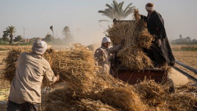 Заплашва ни глобална продоволствена криза поне до 2024 г.