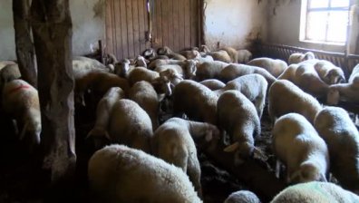 Таванът на помощите за фермери скача от средата на март