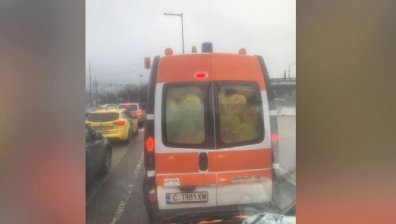 Зеле или биологичен отпадък: Какво превозва линейка на Спешна помощ (+видео)