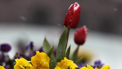 Времето днес: Облачно и ветровито, но с температури до 25 градуса