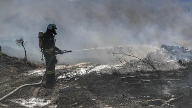 Огнена вълна в България: 200 пожара и трима пострадали за денонощие