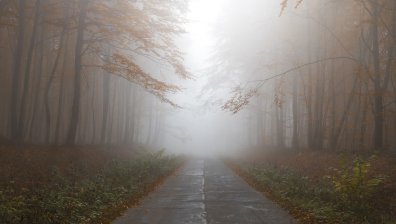 Мъглива сутрин, последвана от облаци и дъжд