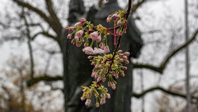 Времето днес: Нова порция валежи и температури до 16 градуса