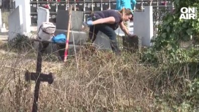 "Джурасик парк" вместо "Гробищни паркове" в София: Кмет и доброволци трескаво чистят